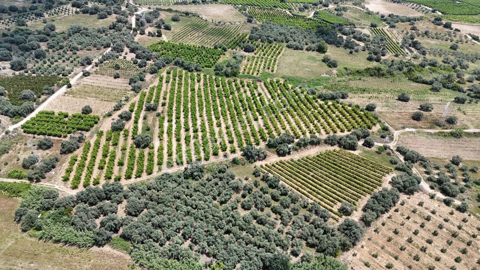 Ra Gayrimenkul Karadirlik Mh.satılık Nektari Bahçesi - Görsel 24