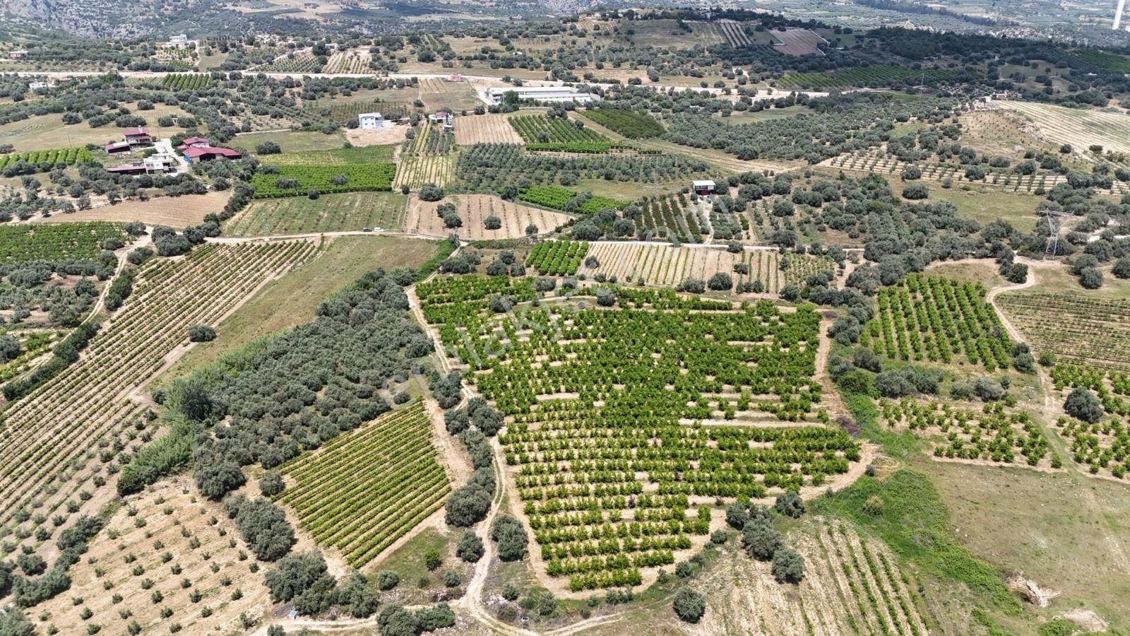 Ra Gayrimenkul Karadirlik Mh.satılık Nektari Bahçesi - Görsel 17