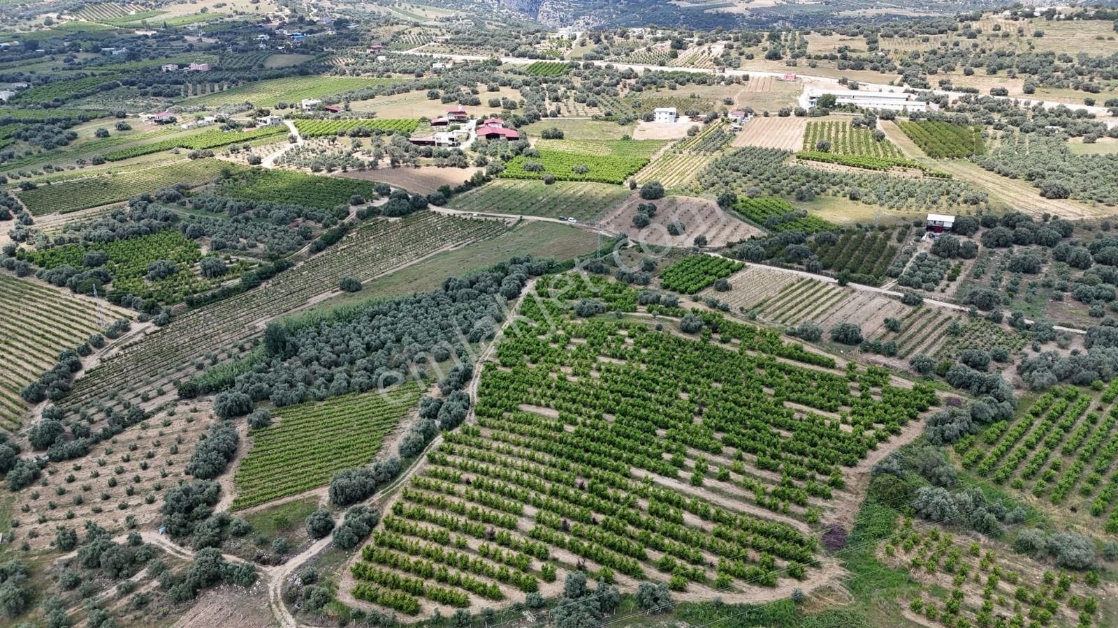 Ra Gayrimenkul Karadirlik Mh.satılık Nektari Bahçesi - Görsel 13