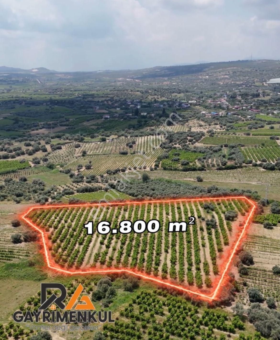 Ra Gayrimenkul Karadirlik Mh.satılık Nektari Bahçesi - Görsel 4