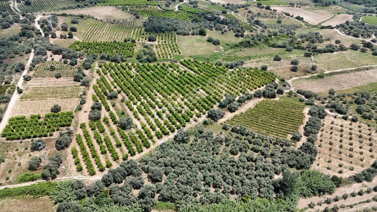 Ra Gayrimenkul Karadirlik Mh.satılık Nektari Bahçesi - Görsel 23