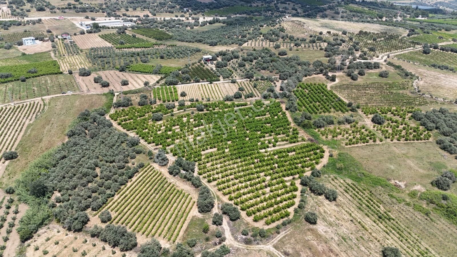 Ra Gayrimenkul Karadirlik Mh.satılık Nektari Bahçesi - Görsel 19
