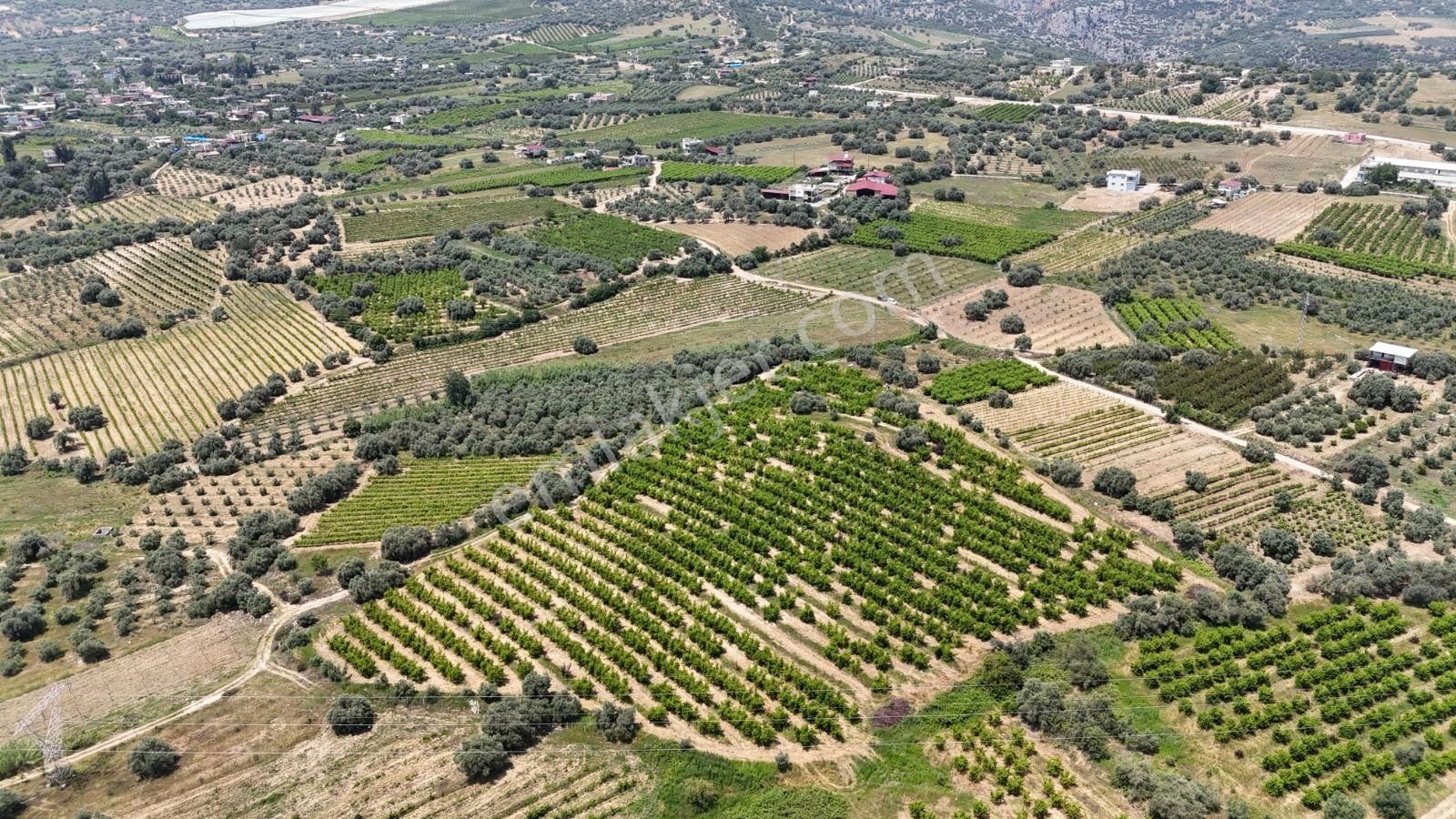 Ra Gayrimenkul Karadirlik Mh.satılık Nektari Bahçesi - Görsel 16