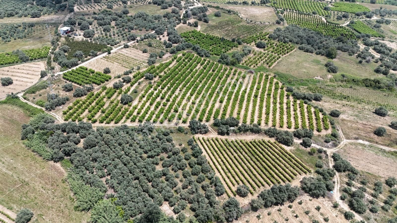Ra Gayrimenkul Karadirlik Mh.satılık Nektari Bahçesi - Görsel 27