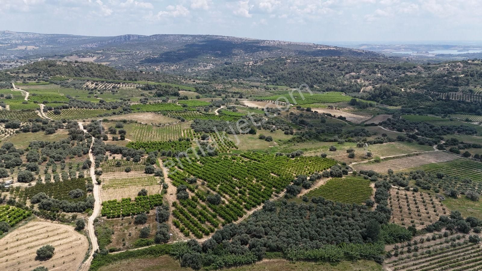 Ra Gayrimenkul Karadirlik Mh.satılık Nektari Bahçesi - Görsel 14