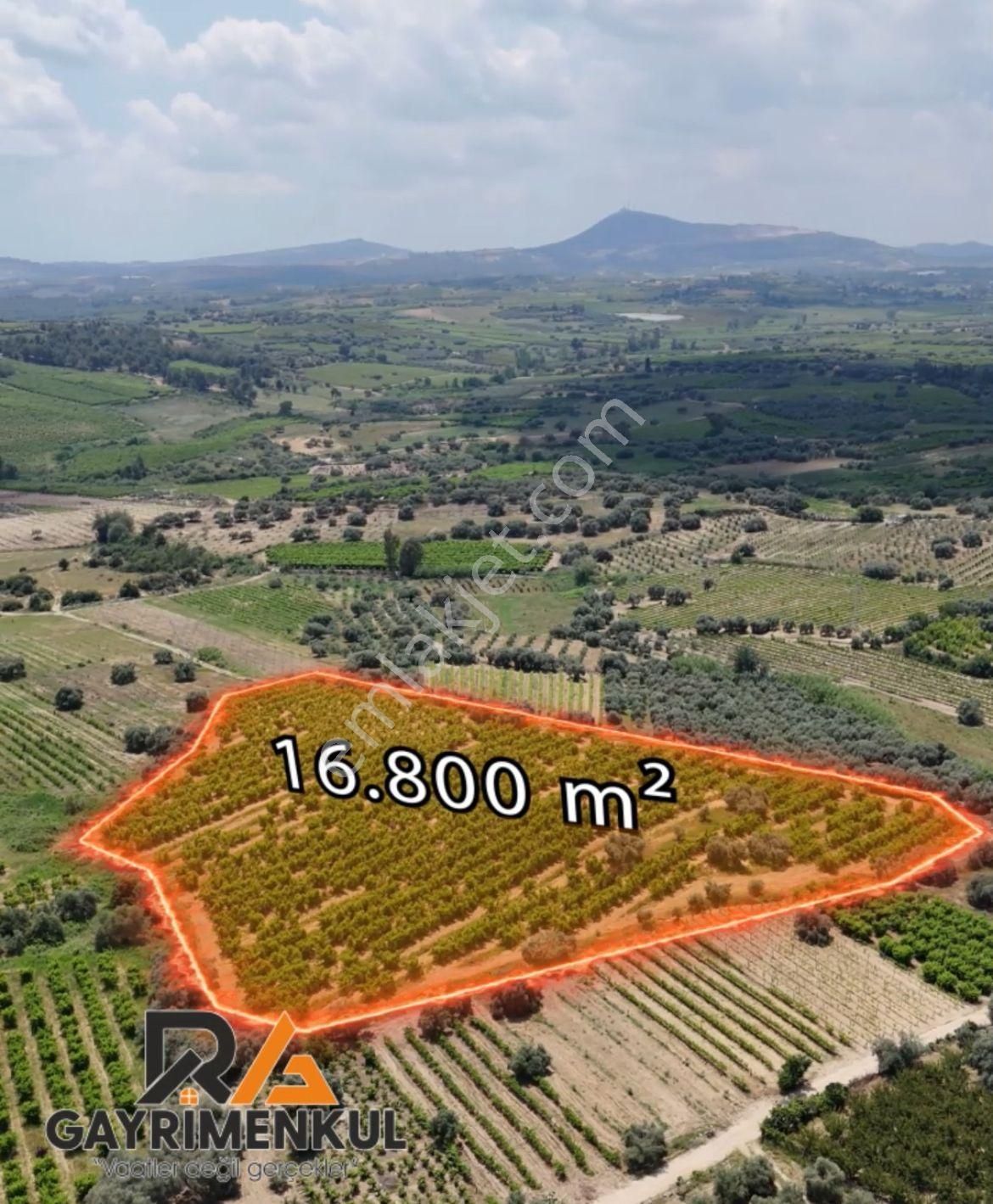 Ra Gayrimenkul Karadirlik Mh.satılık Nektari Bahçesi - Görsel 3