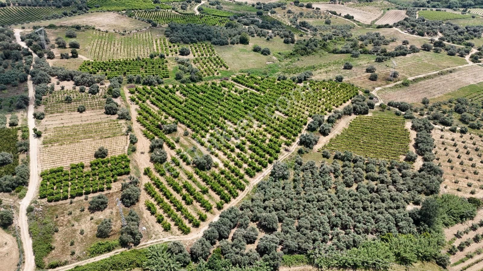 Ra Gayrimenkul Karadirlik Mh.satılık Nektari Bahçesi - Görsel 26