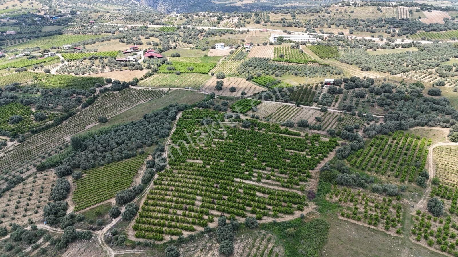 Ra Gayrimenkul Karadirlik Mh.satılık Nektari Bahçesi - Görsel 11