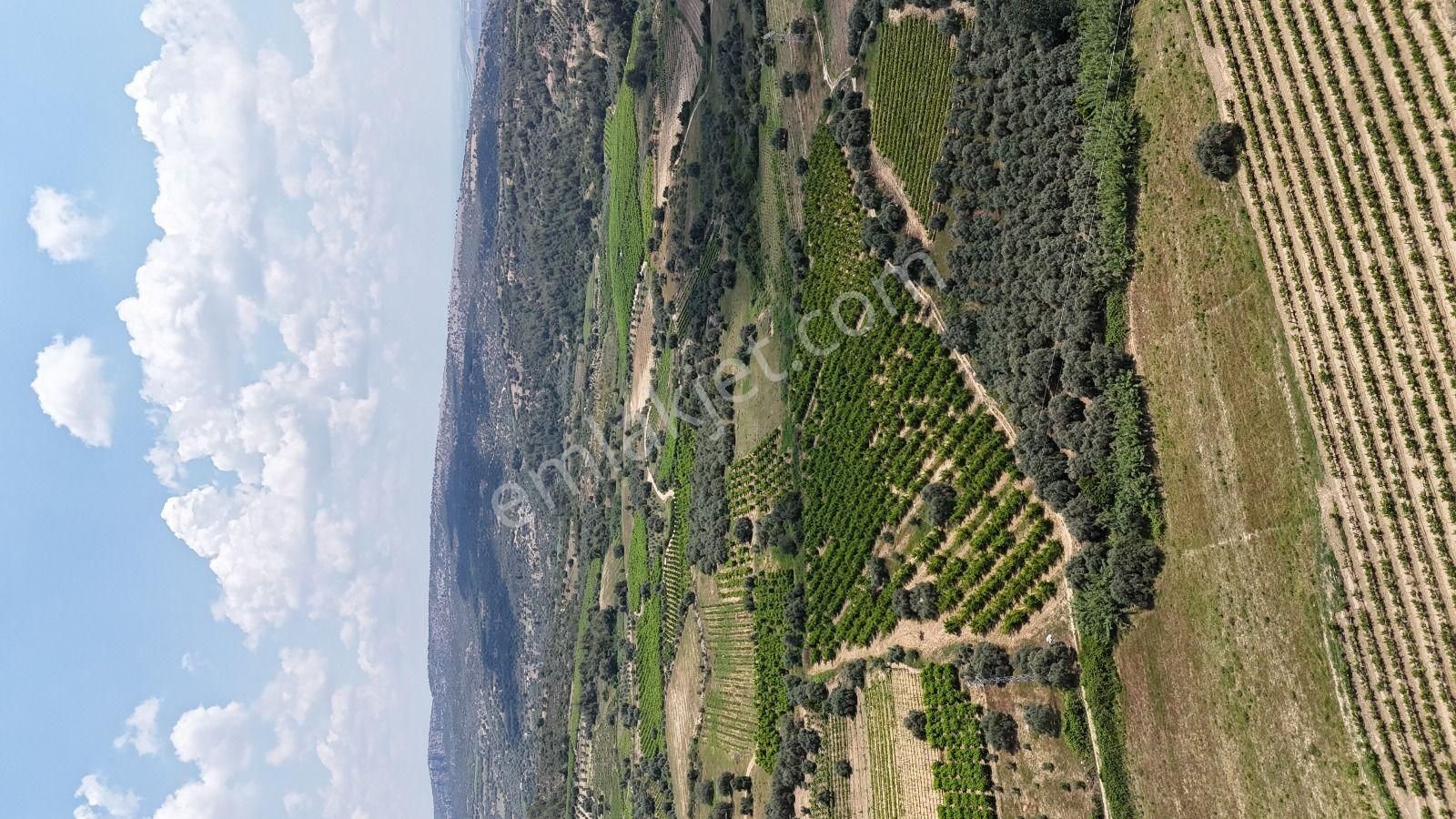 Ra Gayrimenkul Karadirlik Mh.satılık Nektari Bahçesi - Görsel 15