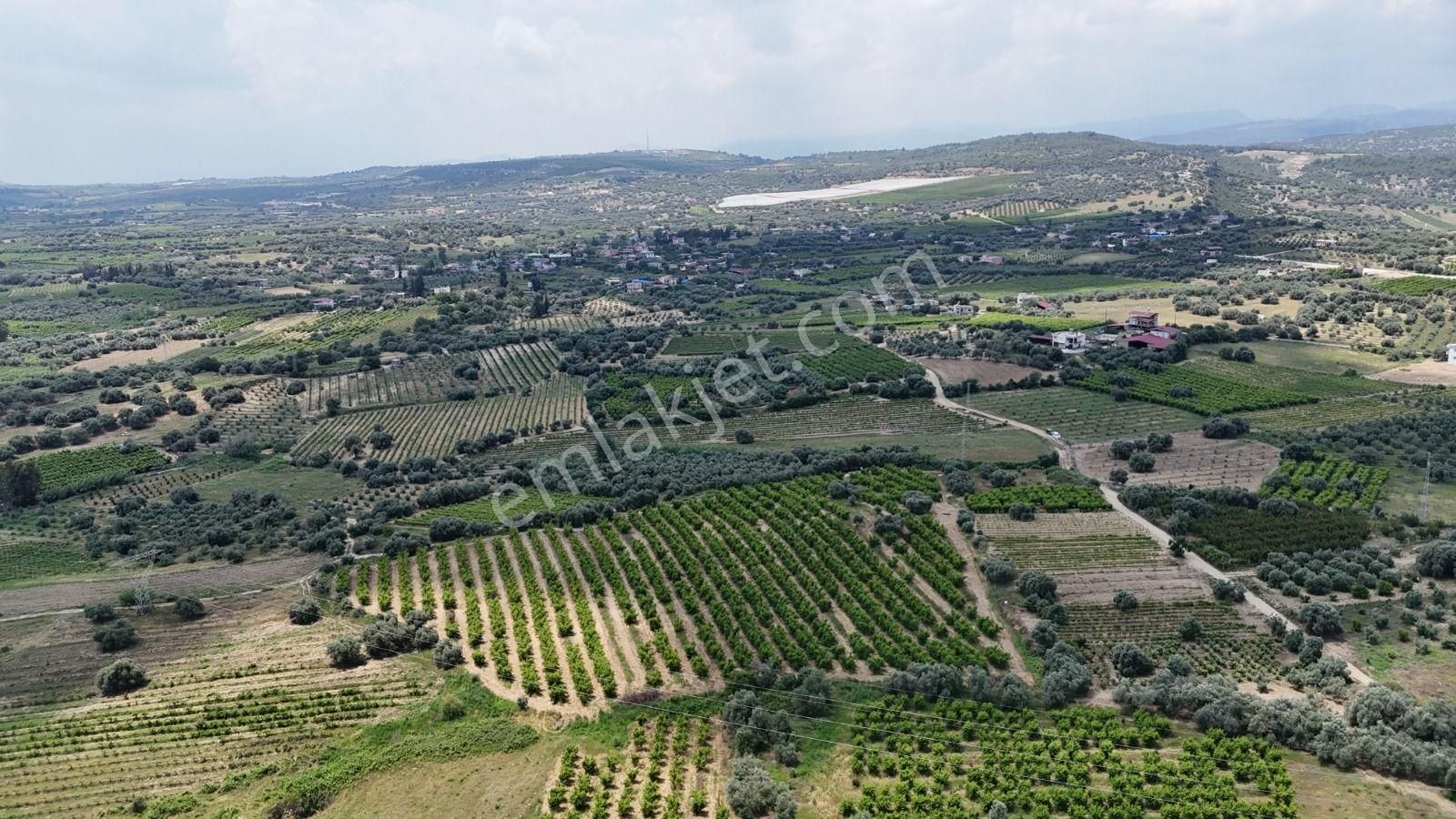 Ra Gayrimenkul Karadirlik Mh.satılık Nektari Bahçesi - Görsel 6