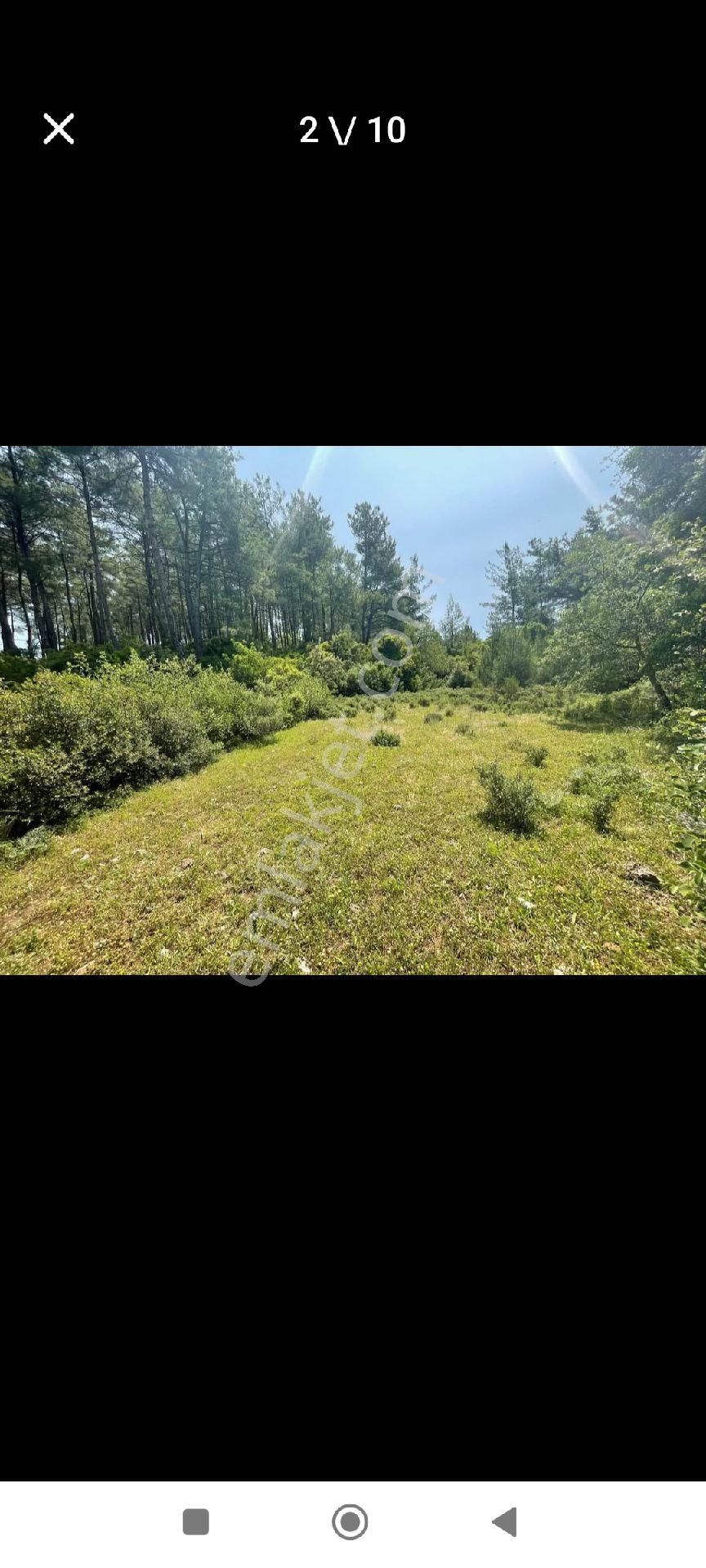 Çiftlik'te Satılık Tarla - Görsel 5