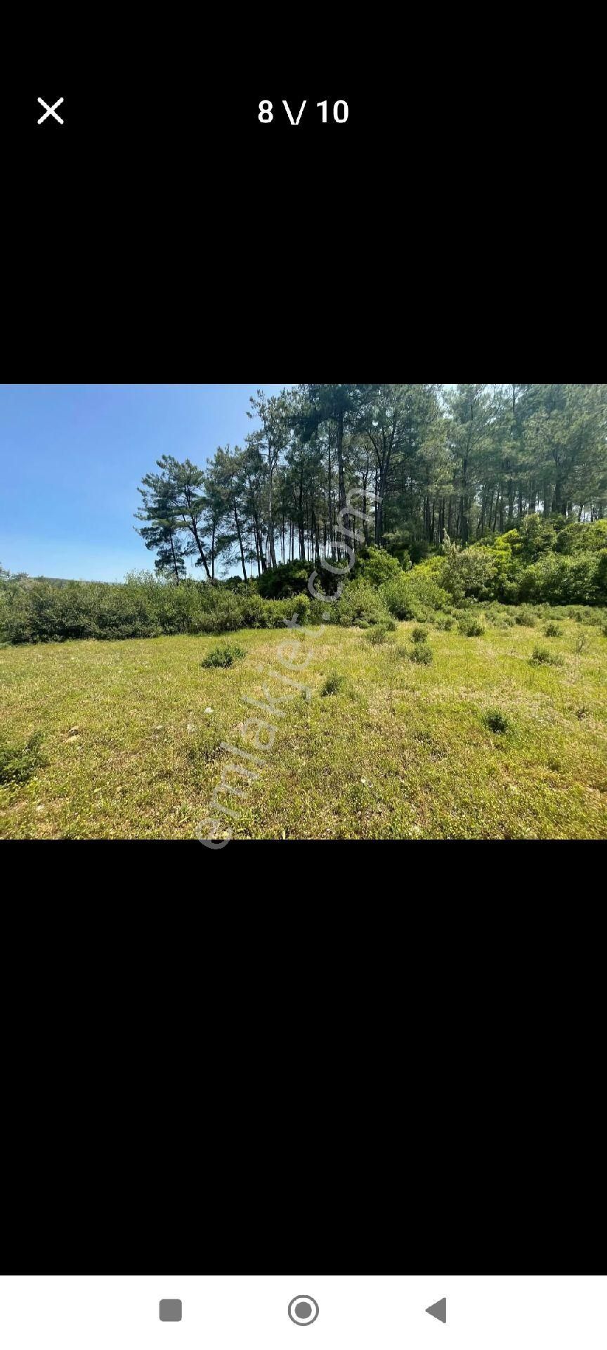 Çiftlik'te Satılık Tarla - Görsel 3