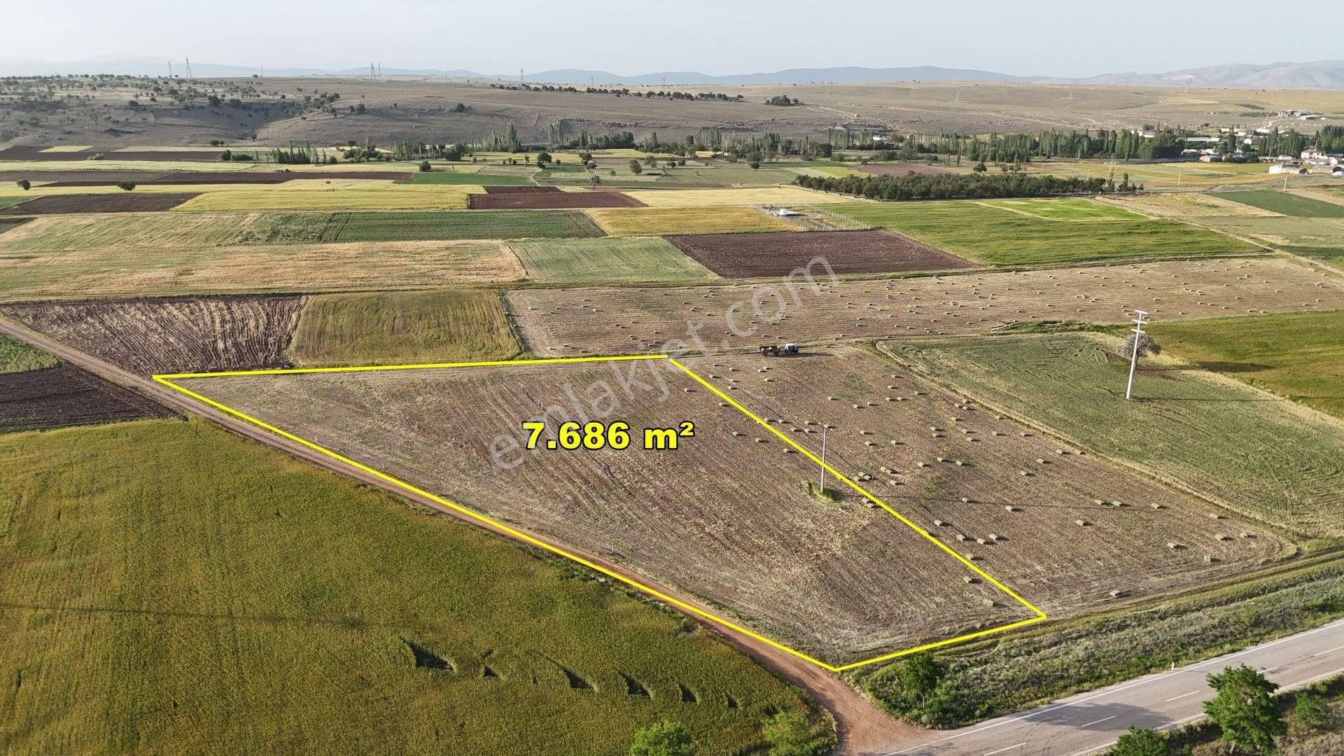Konya / Akören / Orhaniye De 7.686 M² Köşe Parsel Tarla