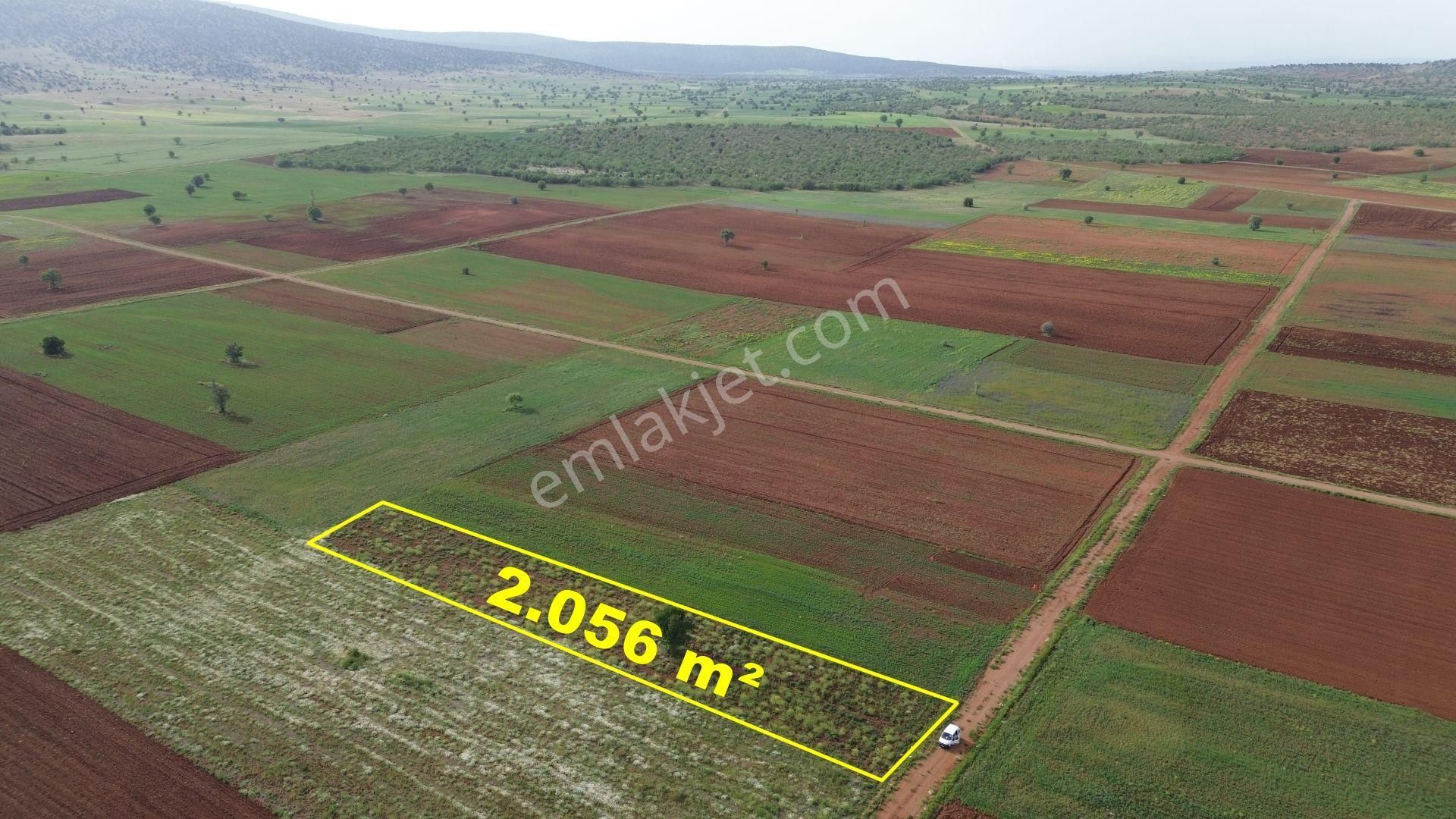 Konya / Akören / Karahüyük Mahallesinde 2.056 M² Müstakil Tapulu Tarla