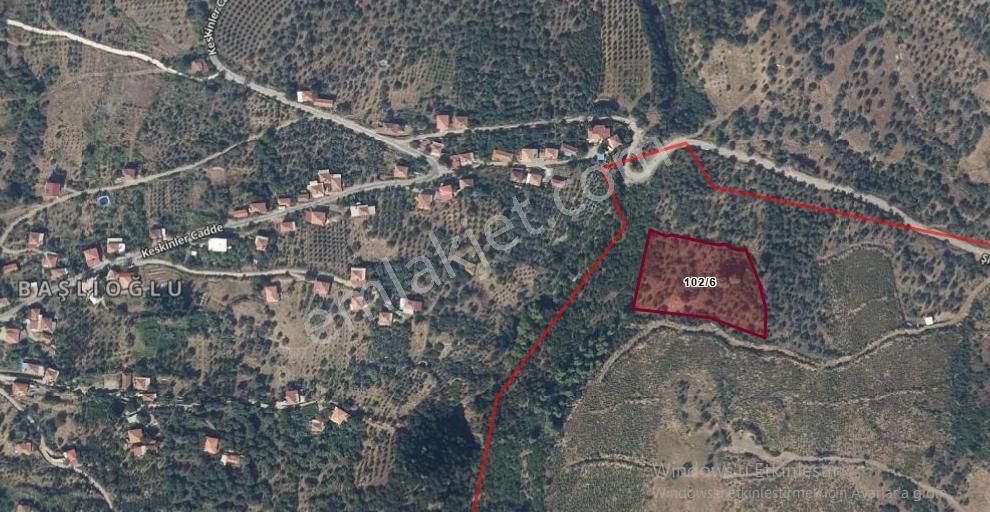 Yuvam Gayrimenkul'den Salihli Şirinyer Mah. 8.129 M2 Satılık Zeytinlik - Görsel 4