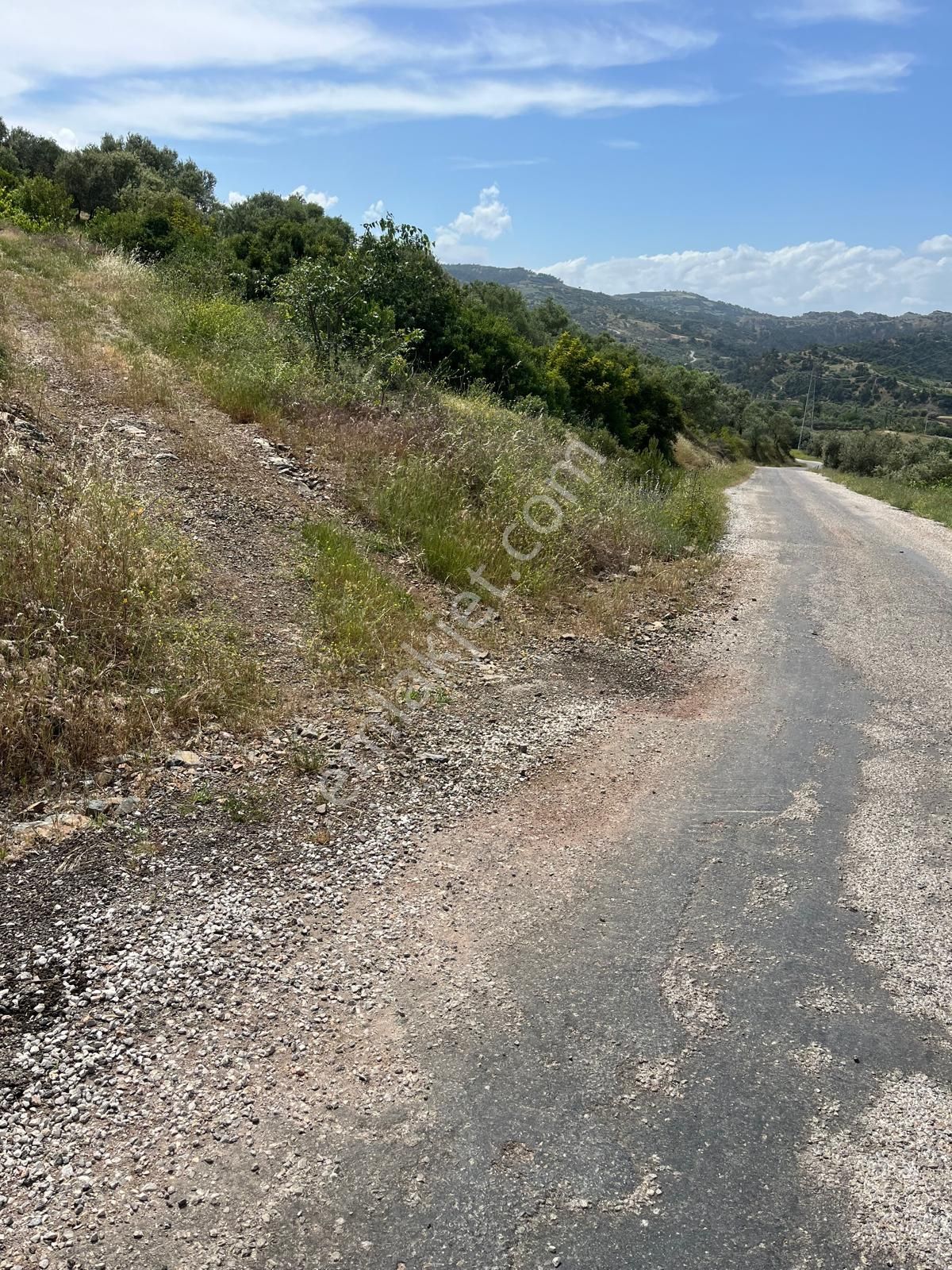 Yuvam Gayrimenkul'den Salihli Şirinyer Mah. 8.129 M2 Satılık Zeytinlik - Görsel 5