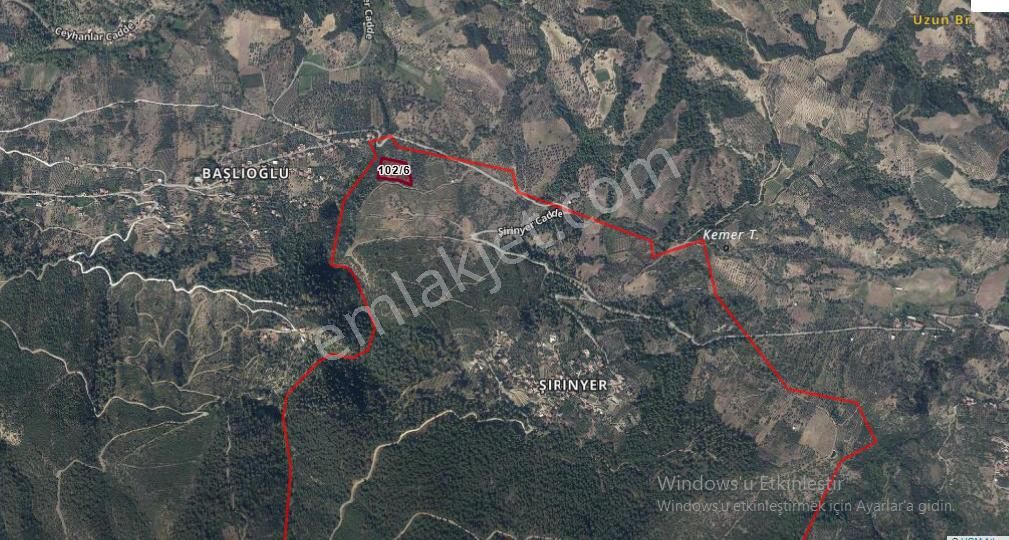 Yuvam Gayrimenkul'den Salihli Şirinyer Mah. 8.129 M2 Satılık Zeytinlik - Görsel 2