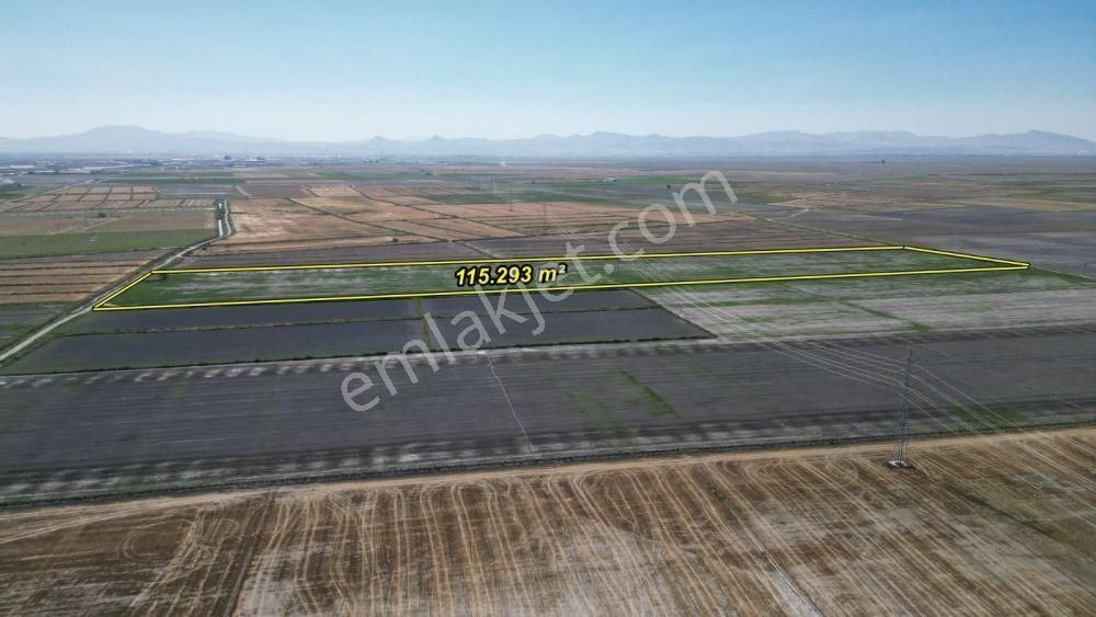 Konya / Karatay / Sakyatan Da Elektriği Ve Suyu Olan 115.293 M² Müstakil Tarla
