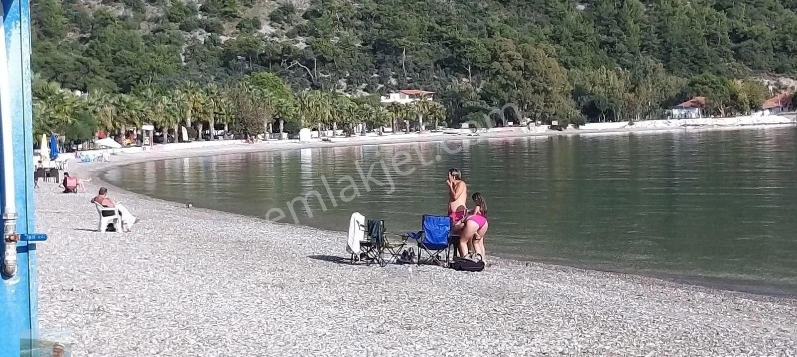 Milas Ören De Satılık Arsa 1000 M2 - Görsel 6