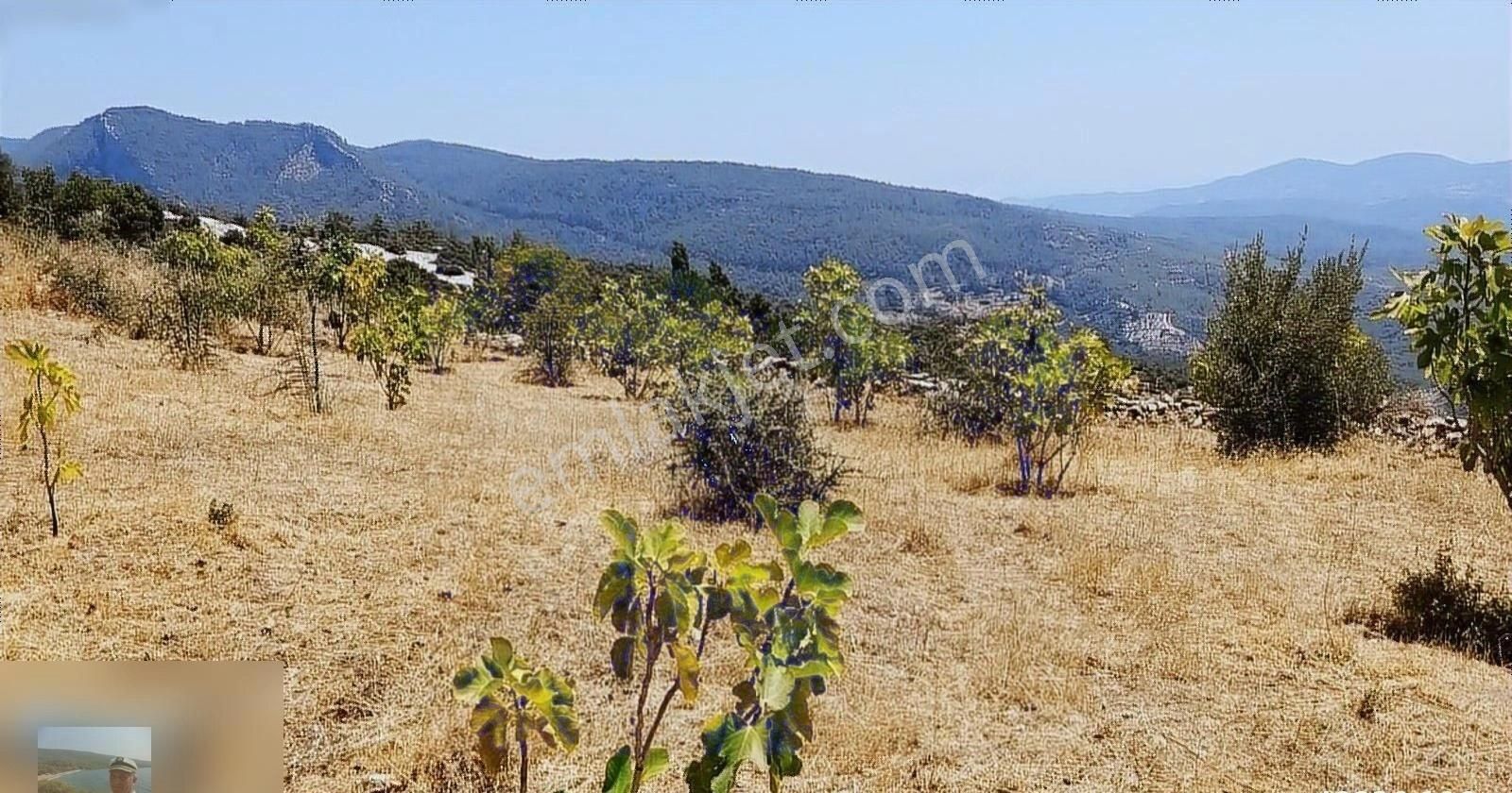 Gökova Körfezi Nin Cenneti Ören Yakınların Da 10dönüm Arazi