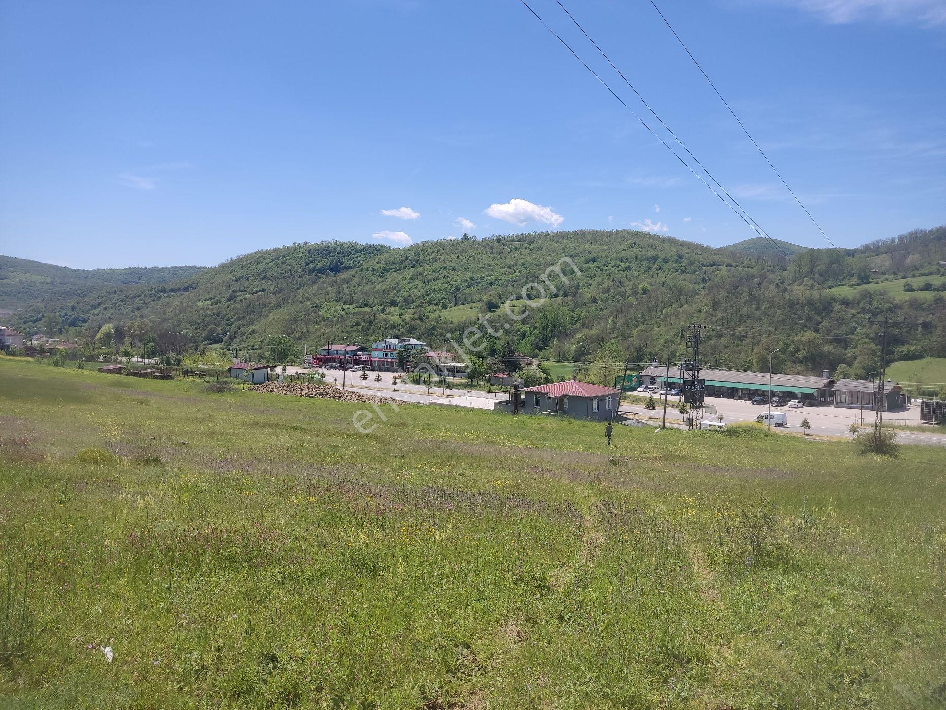 Ali Erişgin'den Satılık Tarla 8393 M. Köy İçi Tapulu Bölgenin En İyi Tarlası Samsun Çakallı'da - Görsel 4