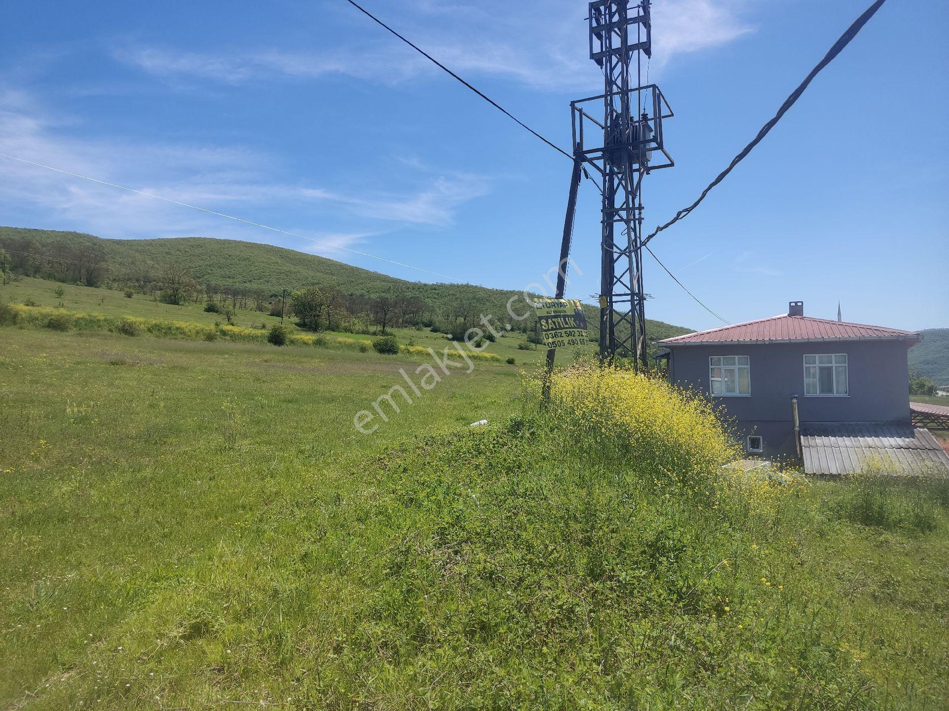 Ali Erişgin'den Satılık Tarla 8393 M. Köy İçi Tapulu Bölgenin En İyi Tarlası Samsun Çakallı'da - Görsel 12