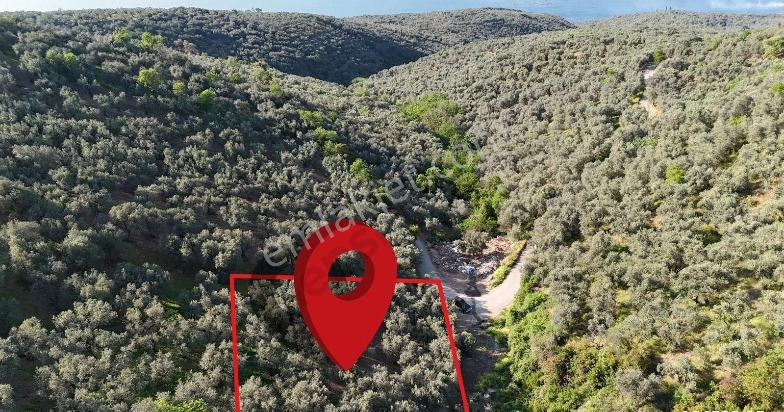 Edincik Yola Cephe 1.976 M2 Satılık Arazi
