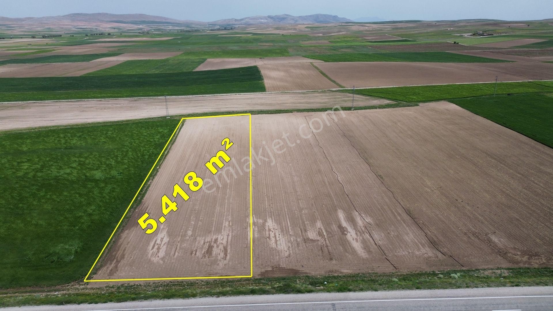 Konya / Meram / Hatunsaray Mahallesinde 5:418 M² Müstakil Tapulu Tarla