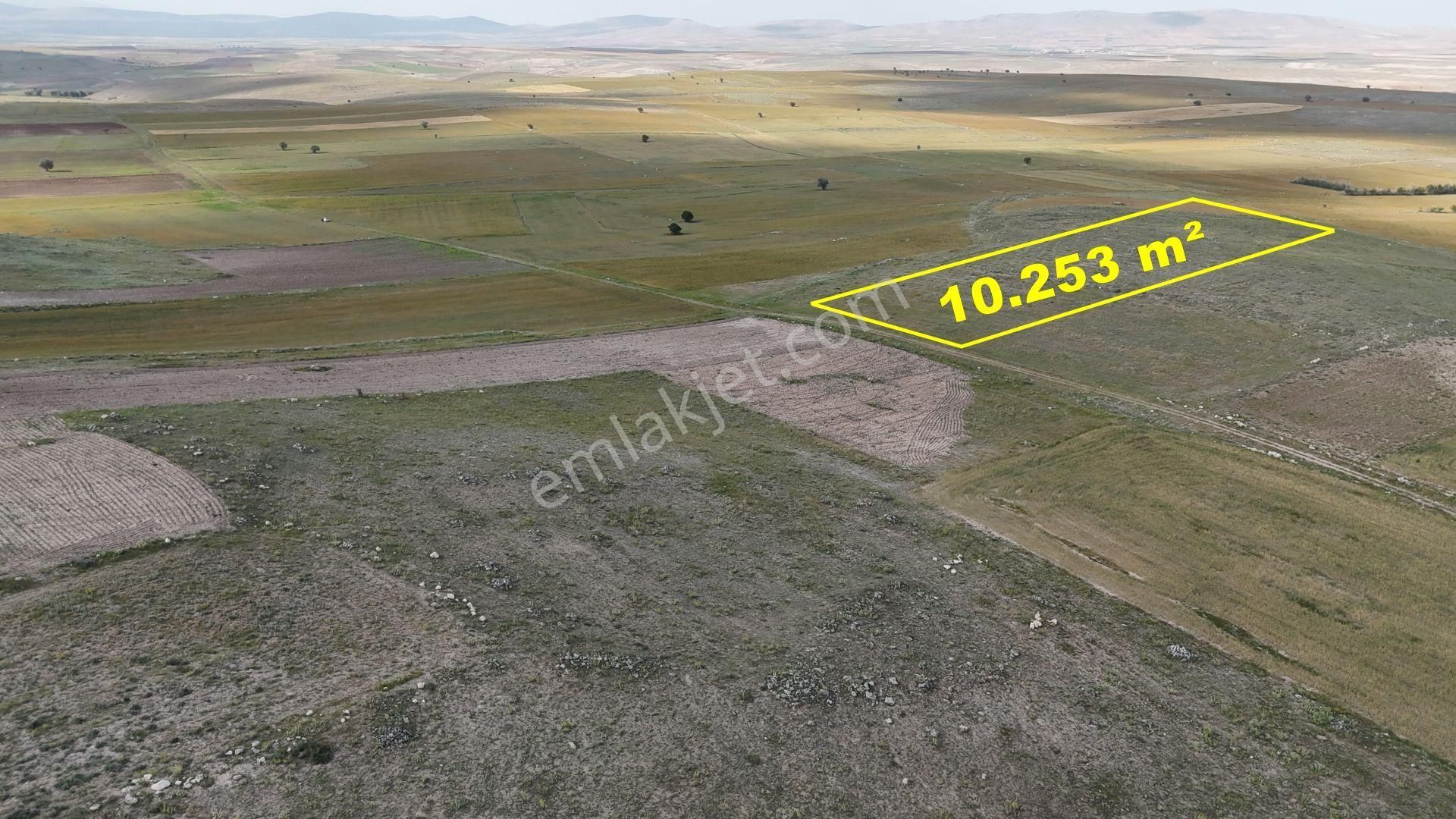 Konya / Akören / Orhaniye Mahallesinde 10.253 M² Müstakil Tapulu Tarla