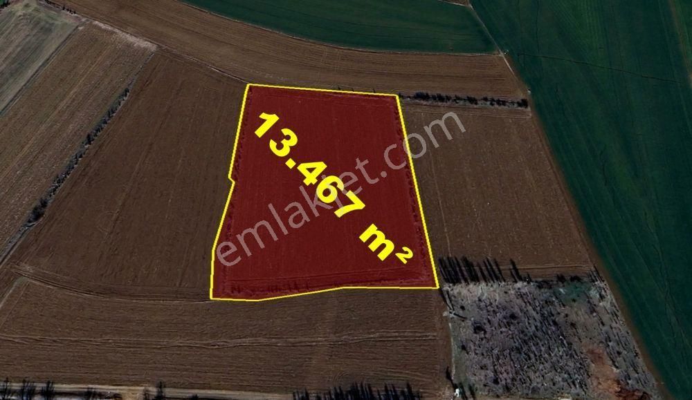 Konya / Çumra / Yenimahalle Mahallesinde 13.467 M² Müstakil Tapulu Tarla
