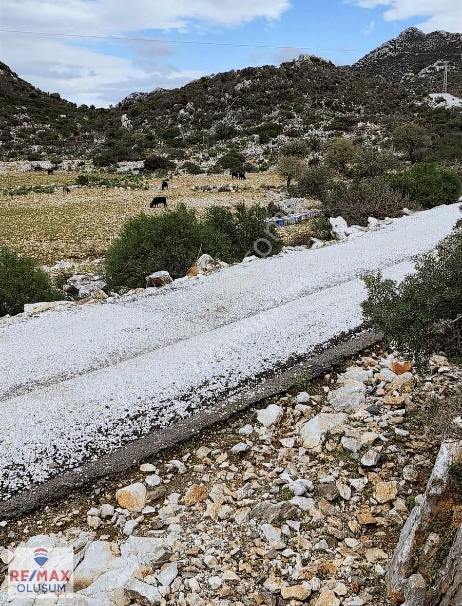 Sahibinden Takasa Açık 615m Müstakil Tarla