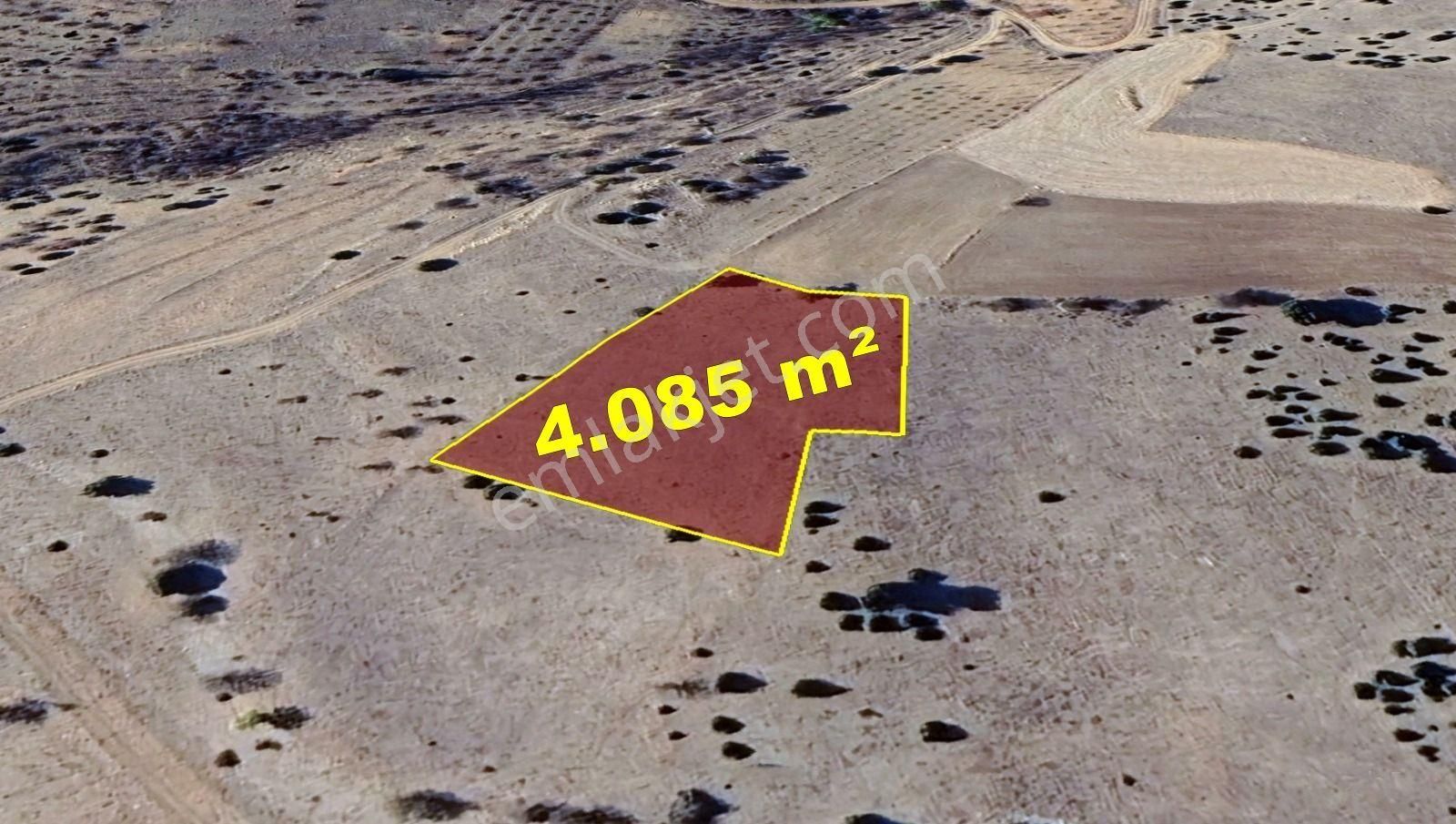 Konya / Akören / Belkuyu Mahallesinde 4.085 M² Müstakil Tapulu Tarla