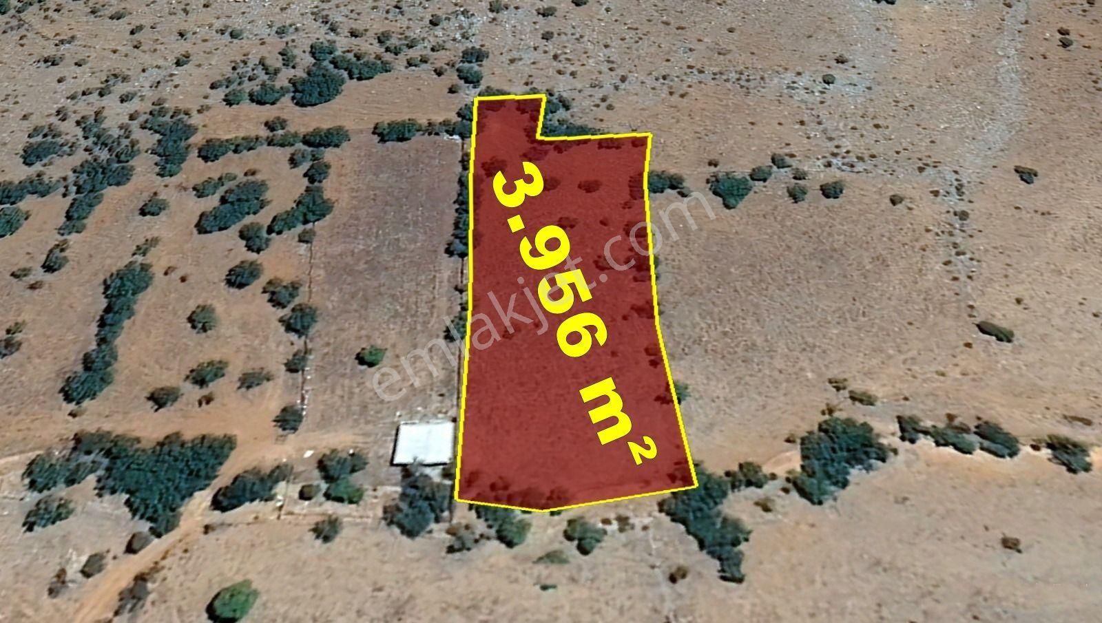 Karaman / Kazımkarabekir / Selçuklu Mahallesinde 3.956 M² Müstakil Tapulu Bağ