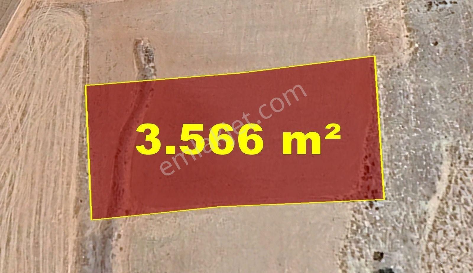 Karaman / Kazımkarabekir / Subaşı Mahallesinde 3.566 M² Müstakil Tapulu Tarla