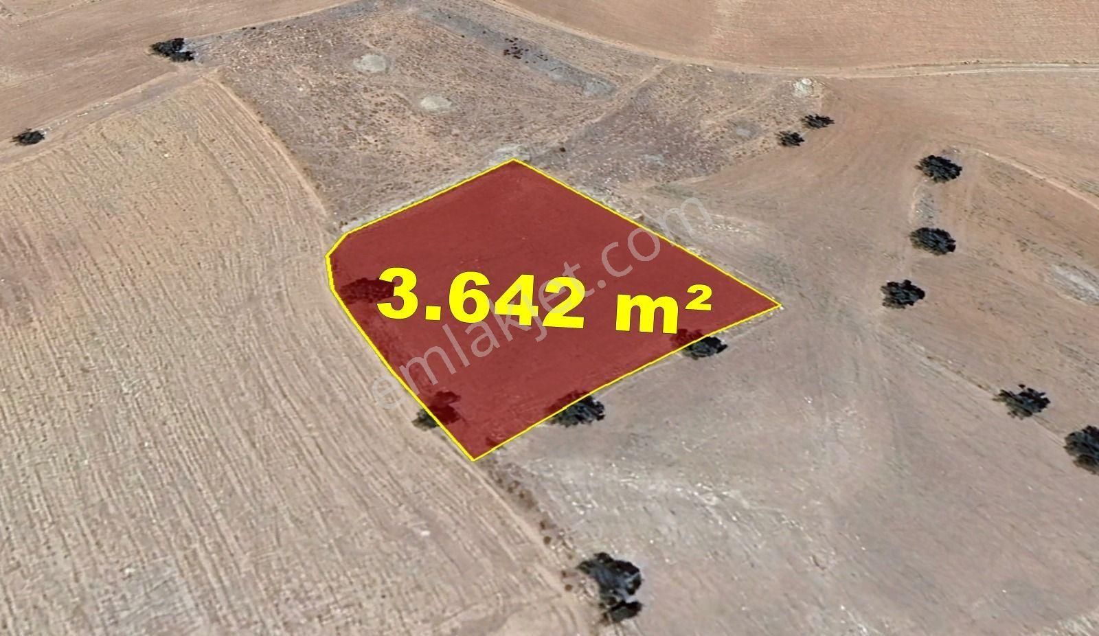 Karaman / Kazımkarabekir / Subaşı Mahallesinde 3.642 M² Müstakil Tapulu Bağ