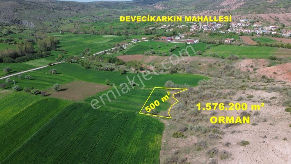 Tokat / Artova / Devecikargın Mahallesinde 500 M² Müstakil Tapulu Tarla