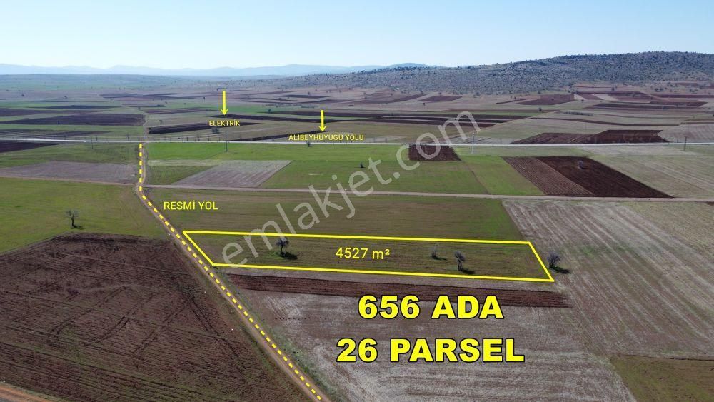 Konya / Akören / Tülce 4.527 M² Müstakil Tapulu Kupon Tarla