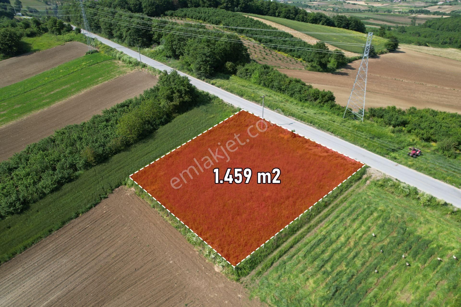 Söğütlü'de Asfalt Cepheli Kare Şeklinde Organize Sanayi Bölgeleri Ortasında 1.459 M2 Tarla