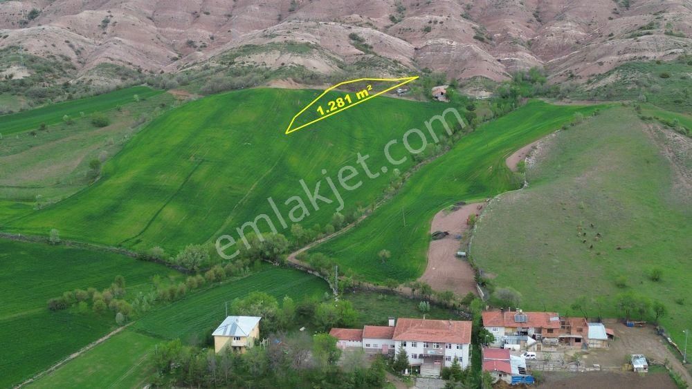 Tokat / Artova / Ağmusa Mahallesinde 1.281 M² Müstakil Tapulu Tarla