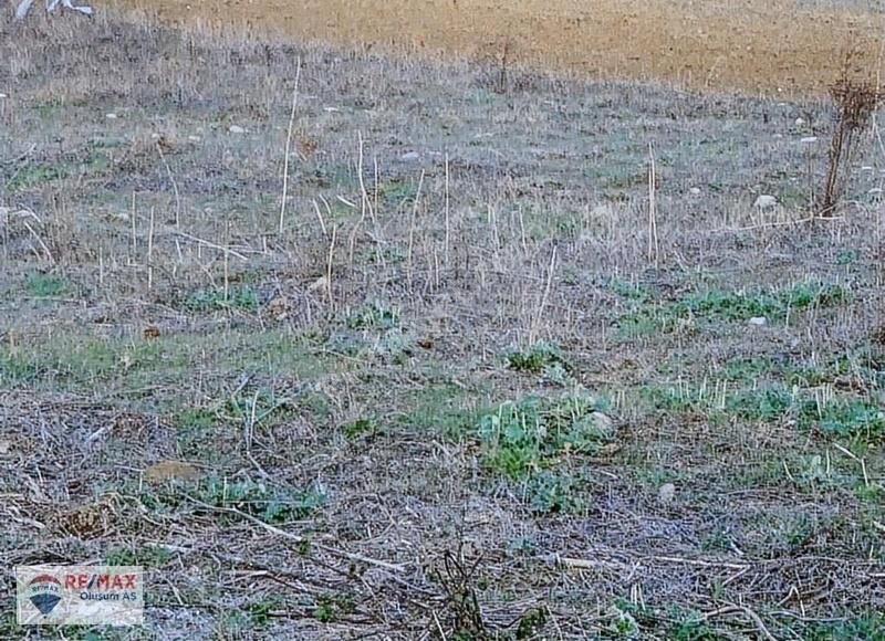 Silivri Gümüşyaka'da Harika Konumda 1004 M2 Satılık Arsa