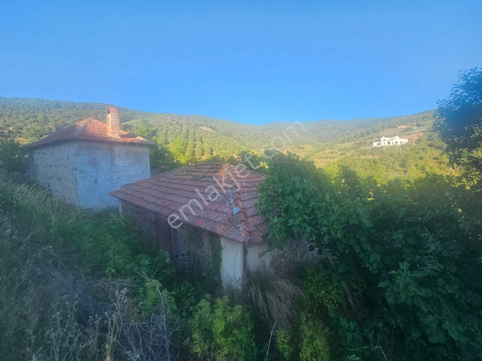 Burhaniye Kırtık M. 317 M2 Arsa İçerisinde Satılık 2 Adet Köyevi - Görsel 6