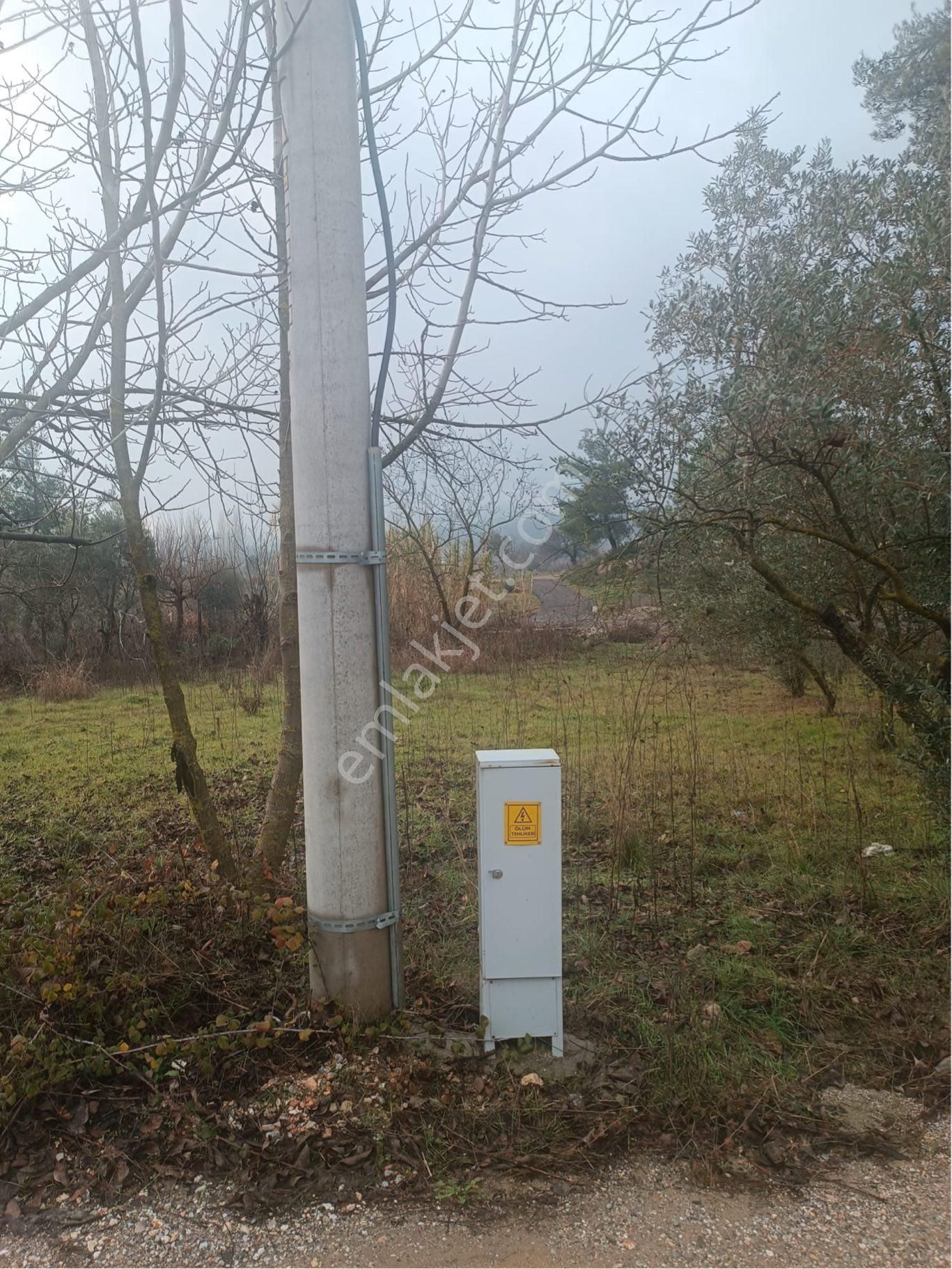 Menderes Yeniköyde Satılık 777 M2 Tek Tapu Tarla