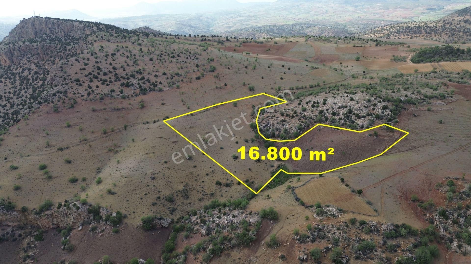 Karaman / Merkez / Bozkandak Mahallesinde 16.800 M² Müstakil Tapulu Bağ