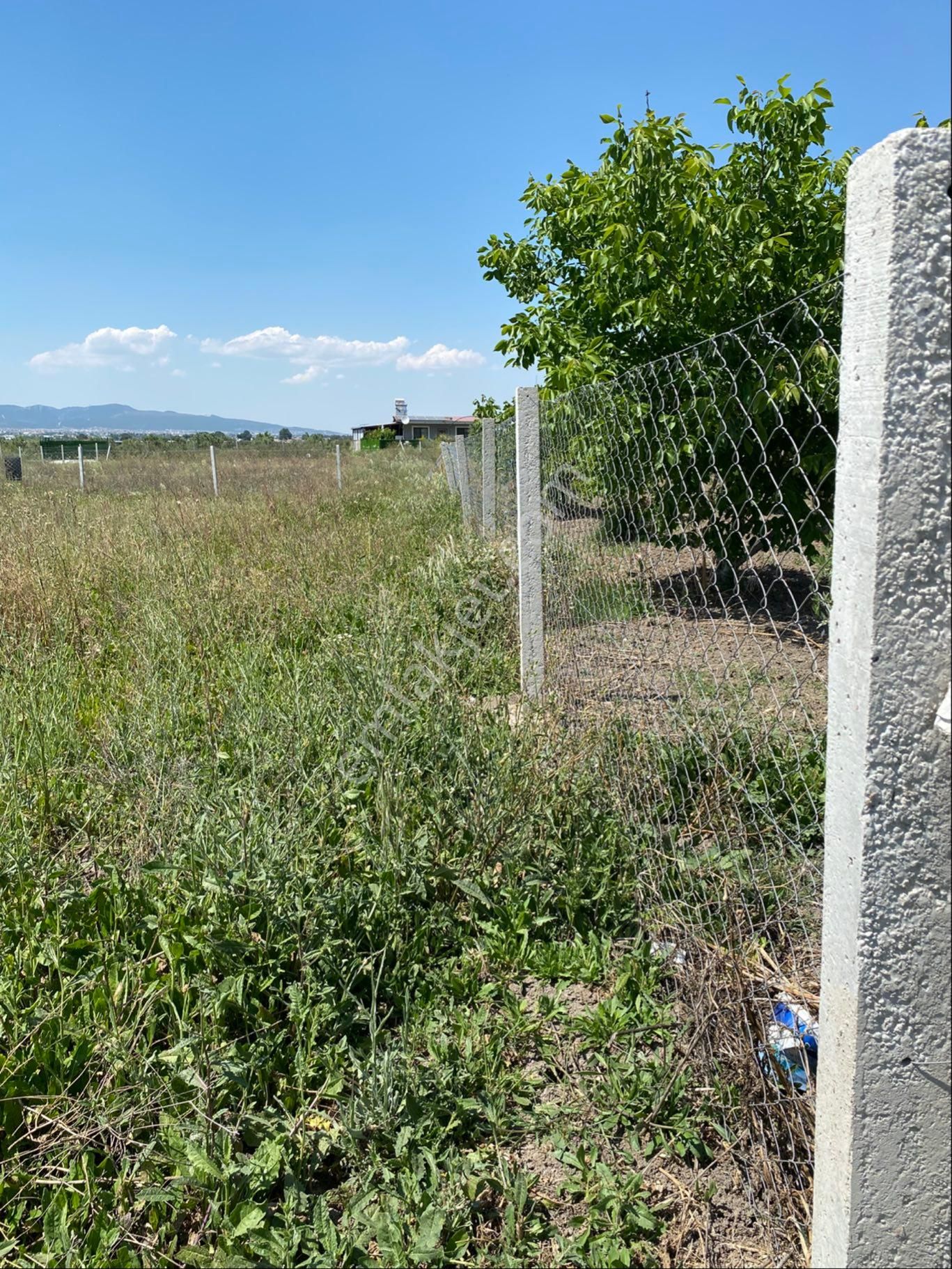 Menderes Tekelide Satılık Tarla - Görsel 5