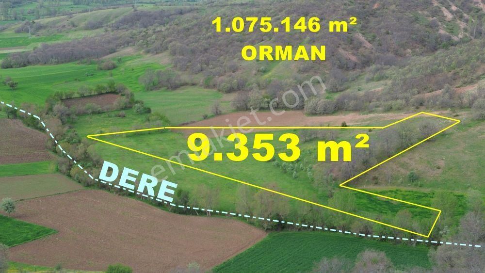 Tokat / Artova / Evlidere Mahallesinde 9.353 M² Müstakil Tapulu Tarla
