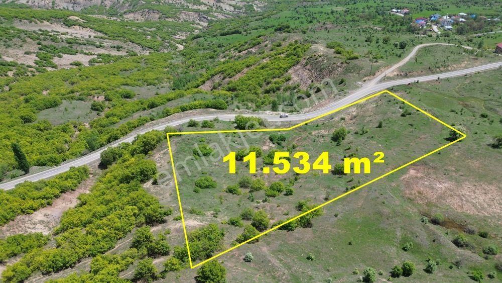 Bingöl / Yayladere / Yolgüden Mahallesinde 11.534 M² Müstakil Tapulu Tarla