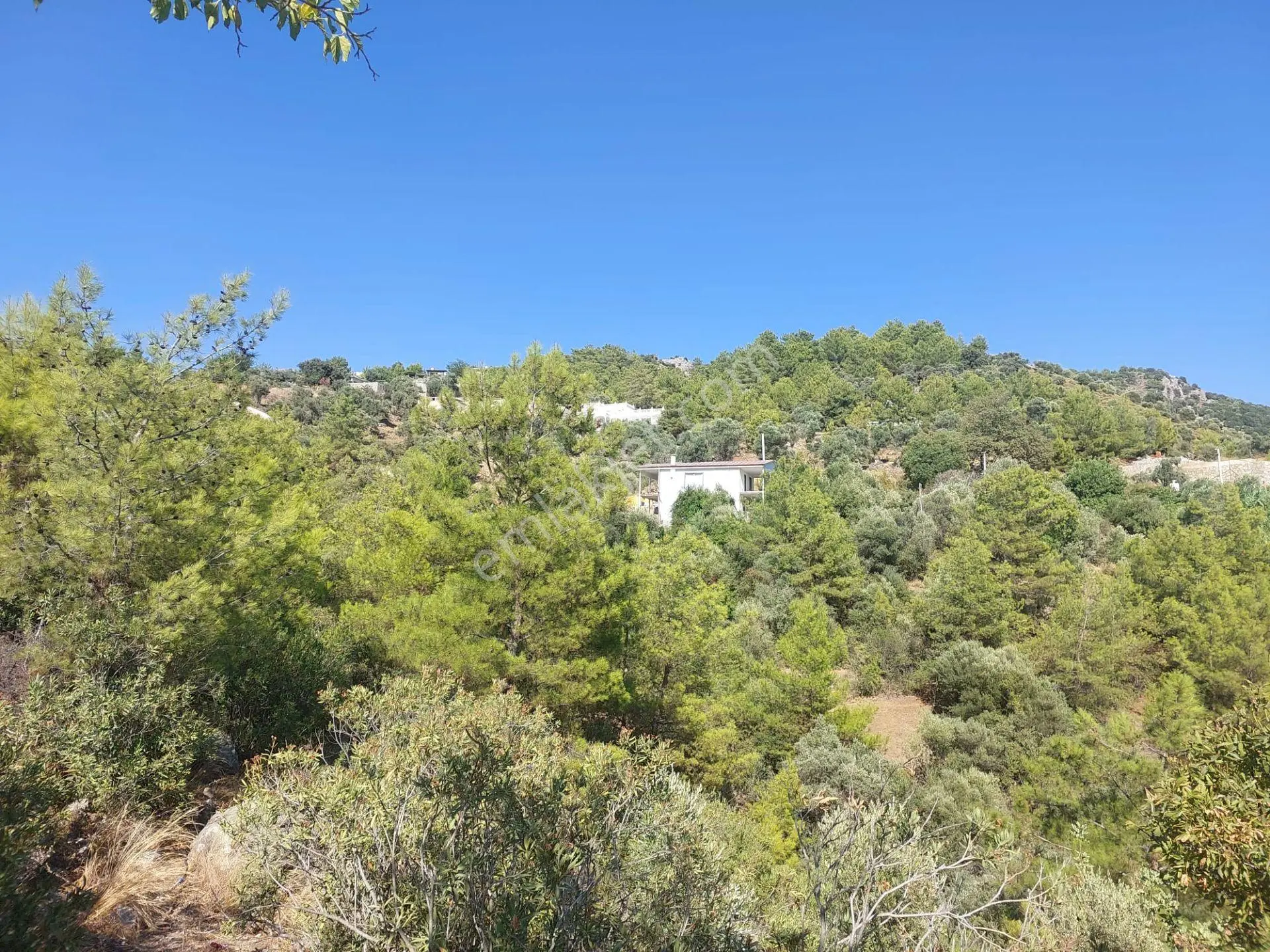 Muğla Ortaca Gökbel’de Satılık Müstakil Tapulu 238 M2 Hobi Bahçesi - Görsel 3