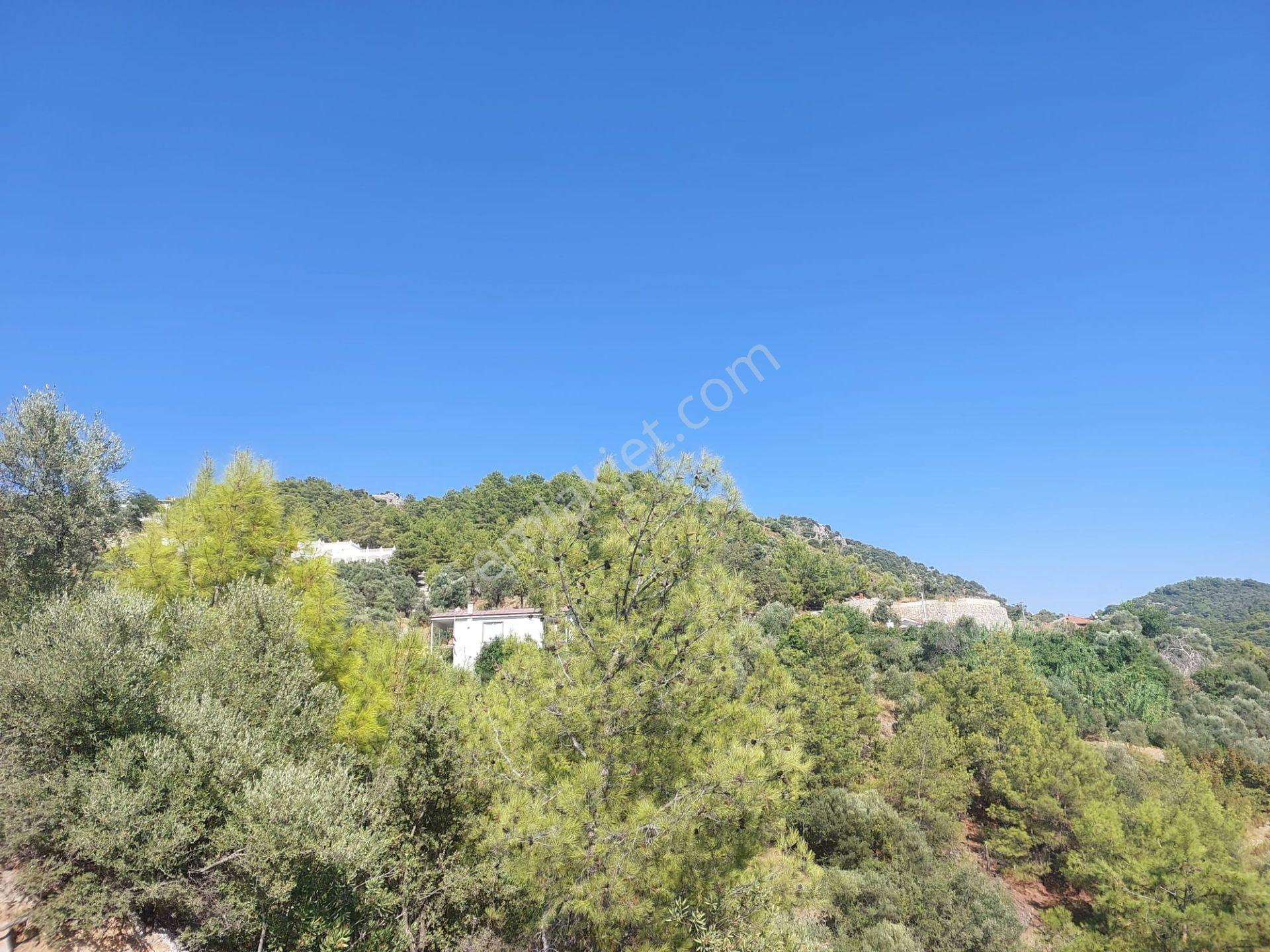 Muğla Ortaca Gökbel’de Satılık Müstakil Tapulu 238 M2 Hobi Bahçesi - Görsel 16