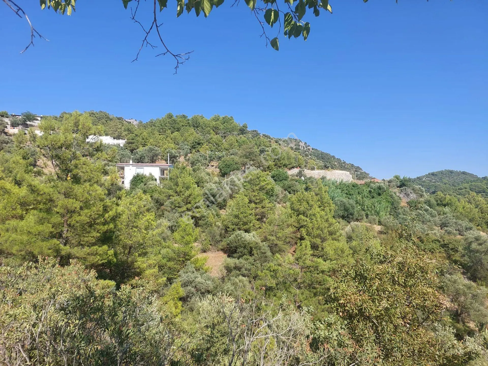 Muğla Ortaca Gökbel’de Satılık Müstakil Tapulu 238 M2 Hobi Bahçesi - Görsel 2