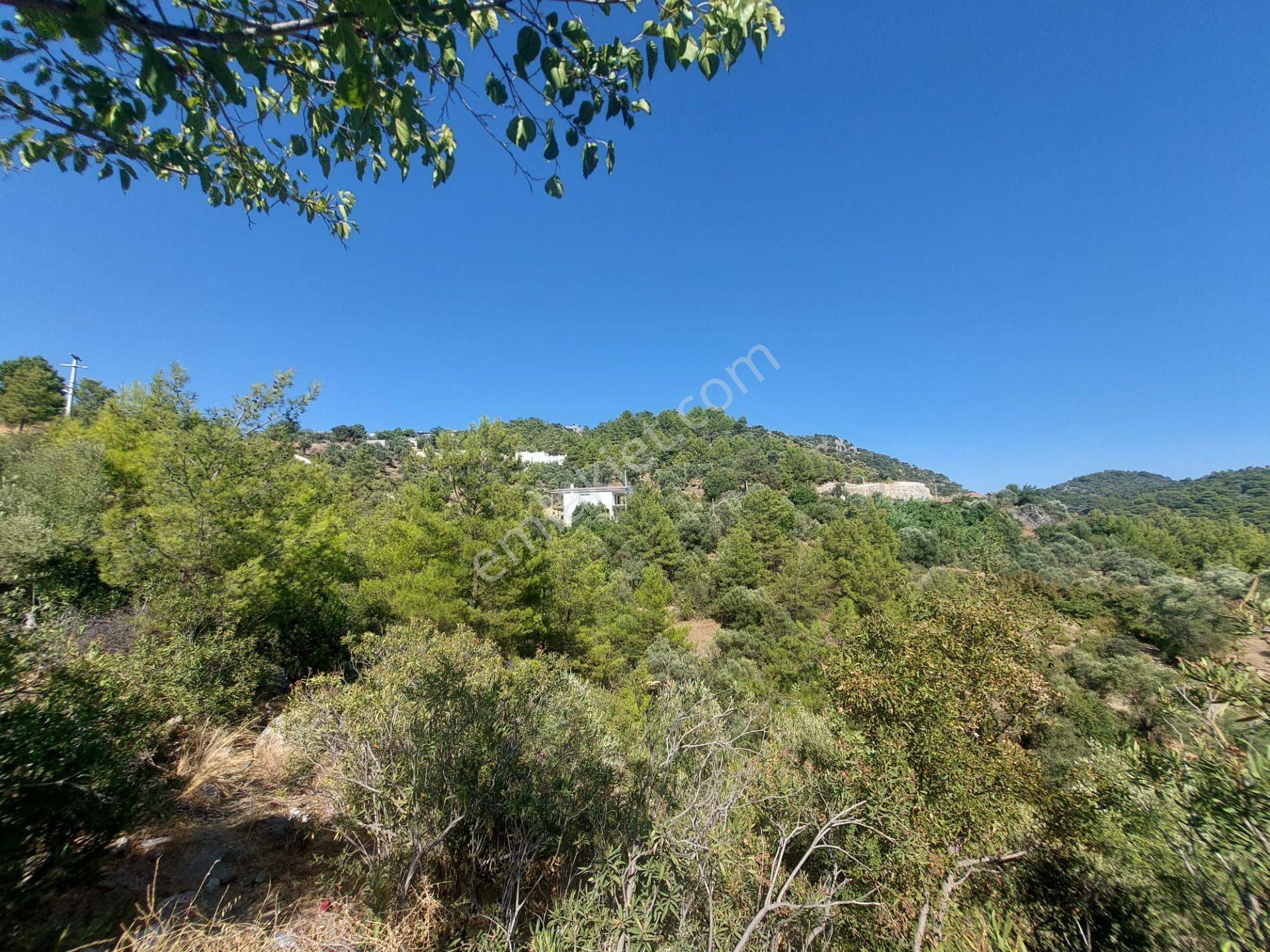 Muğla Ortaca Gökbel’de Satılık Müstakil Tapulu 238 M2 Hobi Bahçesi